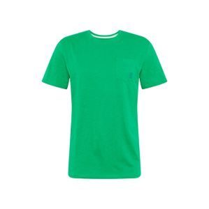 TOM TAILOR Tričko  zelená