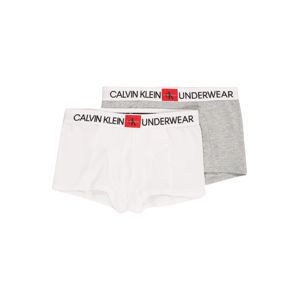 Calvin Klein Underwear Spodní prádlo '2PK TRUNKS'  šedá / bílá