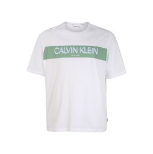 Calvin Klein Tričko 'BT-STRIPE'  bílá / pastelově zelená / světlemodrá