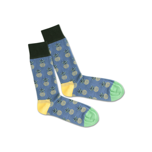 DillySocks Ponožky 'Pineapple Indigo'  mix barev / modrá