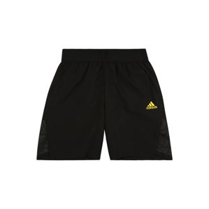 ADIDAS PERFORMANCE Sportovní kalhoty 'Predator'  černá / žlutá / šedá