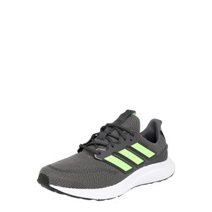 ADIDAS PERFORMANCE Běžecká obuv 'ENERGYFALCON'  svítivě zelená / šedá