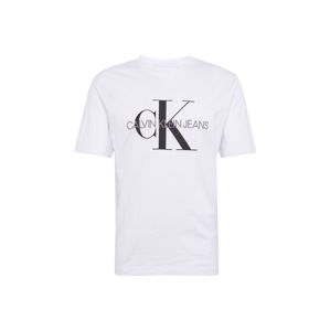 Calvin Klein Jeans Tričko  stříbrně šedá / černá / bílá