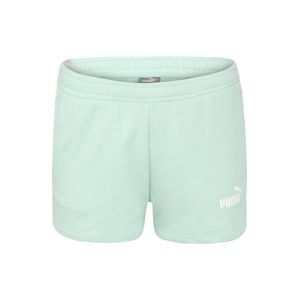 PUMA Sportovní kalhoty 'Amplified 2` Shorts TR'  mátová