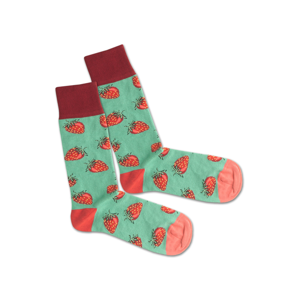 DillySocks Ponožky 'Strawberry Field'  růžová / zelená / červená