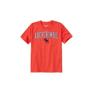Abercrombie & Fitch Tričko 'SB19-FEB'  červená