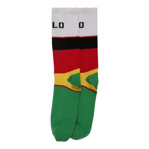 POLO RALPH LAUREN Ponožky  mix barev / bílá