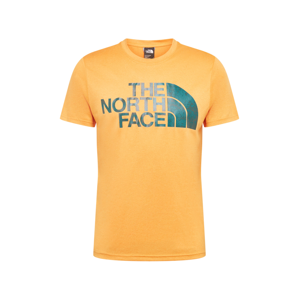 THE NORTH FACE Funkční tričko 'Reaxion'  oranžová / petrolejová / černý melír